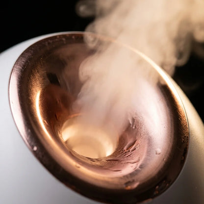 Face Steamer | Warm Mist Facial for Hydration & Glow